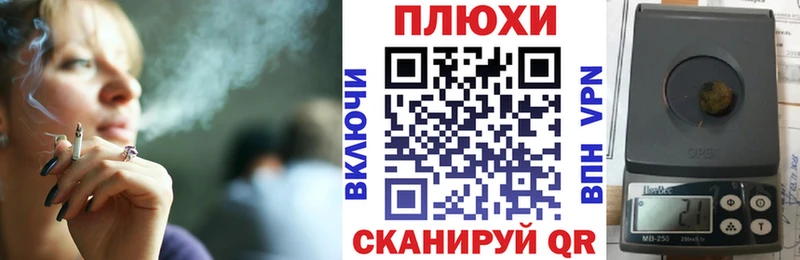 OMG ссылка  Сясьстрой  ГАШ Изолятор 