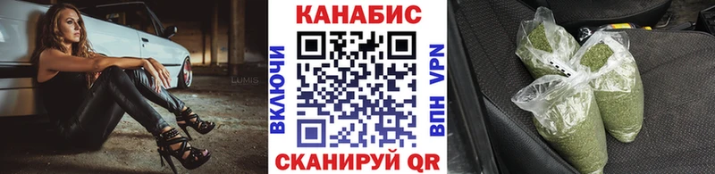 Марихуана Amnesia Сясьстрой